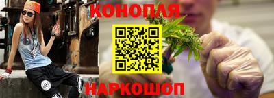 молекула духа Пугачёв