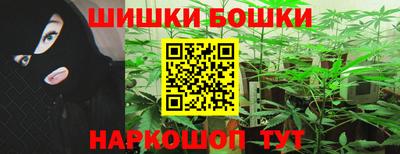 молекула духа Пугачёв