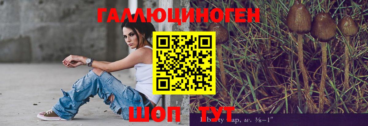 Стрежевой  Галлюциногенные грибы Magic Shrooms  Вход с VPN  продажа наркотиков  Галлюциногенные грибы мицелий 